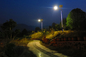Luces de calle accionadas solares modificadas para requisitos particulares de 55W LED vida de servicio larga auto 12V/24V de 4200k proveedor